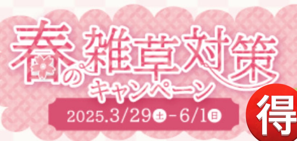 ちゅーもーっく❗️
明日最終日！防草シート専門店の
春の雑草対策キャンペーン〜6/1まで
👉👉👉 bousou-sheet.com/docs/campaign_…

#防草シート