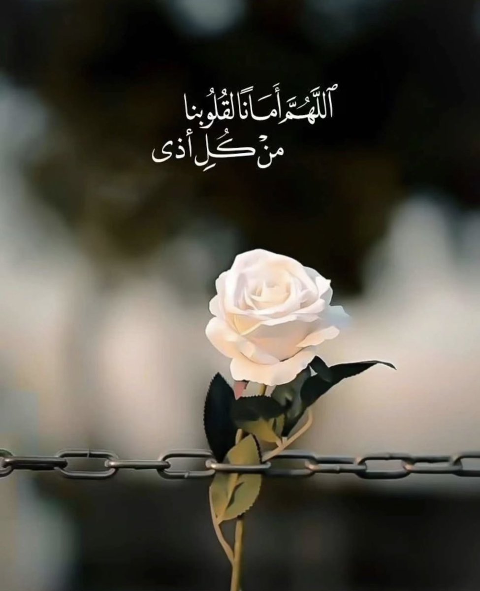 hanan_aharbi's tweet photo. •قالــوا بأنَّ القلبَ مثلُ زجاجةٍ ؛
إنْ كُسِّرتْ من ذا الذي يمحو الأثرْ 

فاحذر بأن تؤذي مشاعر أحدٍ ؛
كَسْر ُالقلوب جريمـةٌ لا تُغْتفـر https://t.co/fzgx7RY8py