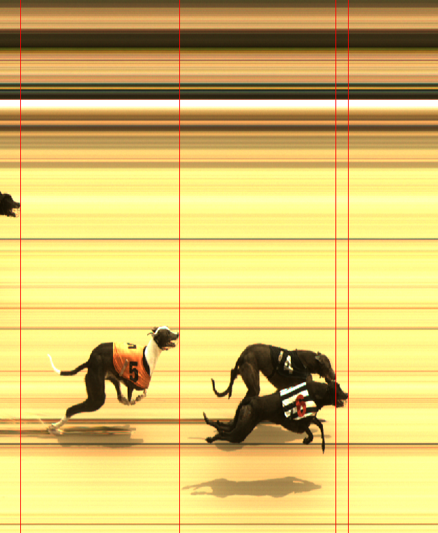 Saturday 31st May 2025 AM Race Photo Finish📸
Winner Trap 6 Coolemount Sarah 🥇
Second Trap 4 Dellser Snap 🥈
Third Trap 5 Aero Haraka 🥉
Winning Time 16.11 ⏰