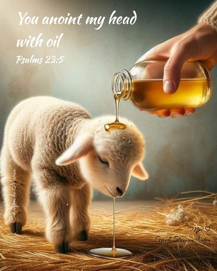 Psalms 23:5 NKJV
You prepare a table before me in the presence of my enemies; You anoint my head with oil; My cup runs over.