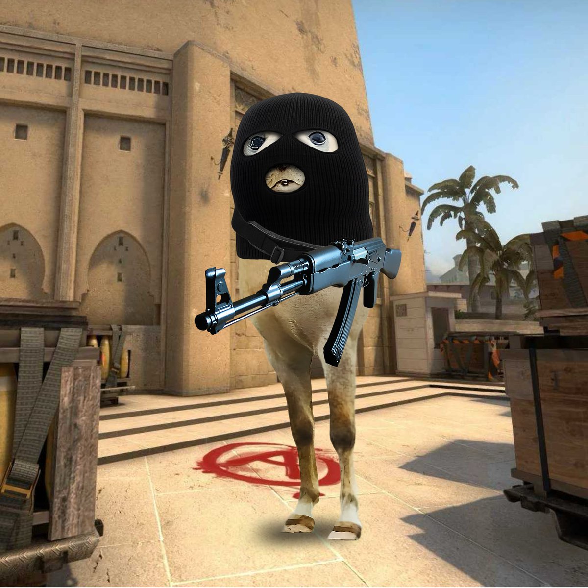Maelonsol's tweet photo. all the runners wear masks now.
if you know, you know. $MASK 🩸
$MAEL locked in at A site — next stop: global.
🦭💥🧢
#MAELcoin #MemeCoinOps #Axiom #counterstrike #CTsCrying #MaskedMeta #DegenStrike #CSGOnchain #mask https://t.co/ldirQKbUWz