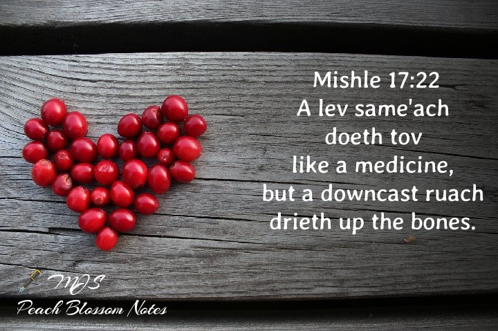 Proverbs 17:22 NKJV
A merry heart does good, like medicine, But a broken spirit dries the bones.
