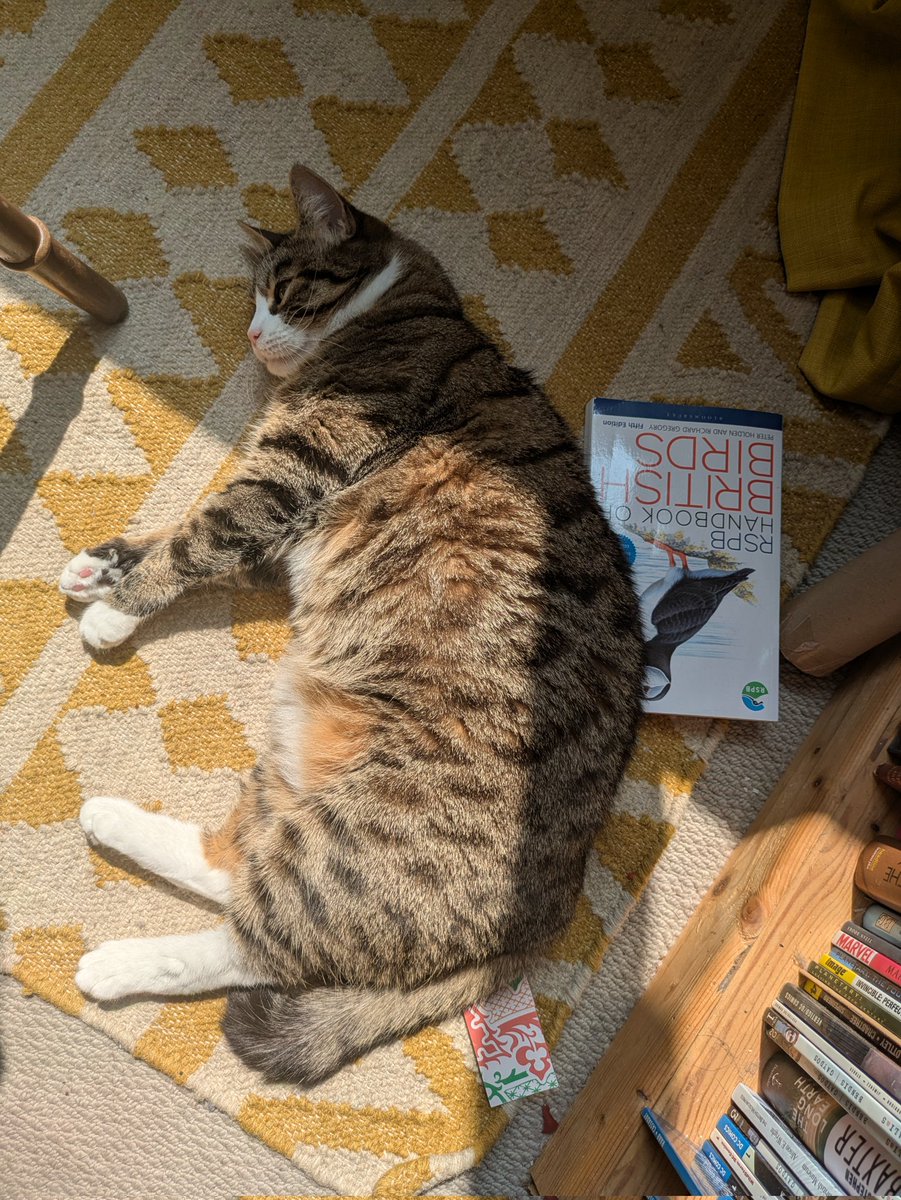 She has been studying her enemies.