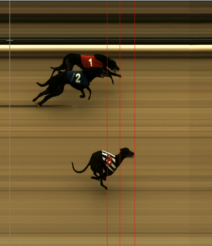 Saturday 31st May 2025 AM Race 2 Photo Finish📸
Winner Trap 6 Longacres Fee 🥇
Second Trap 1 Kilwest Monty🥈
Third Trap  Cantcallhimarero 🥉
Winning Time 29.36 ⏰