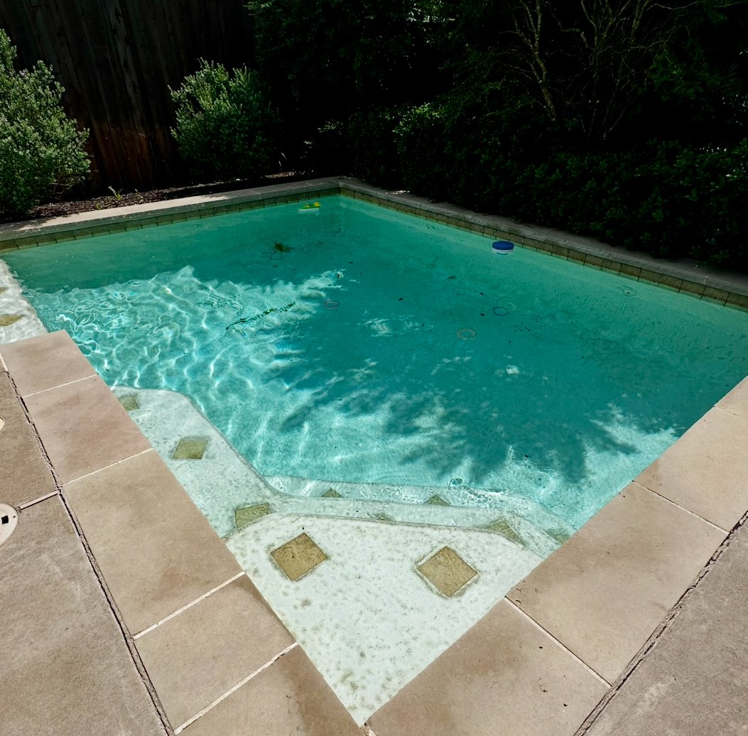 Kleen Water Pool Service tweet media