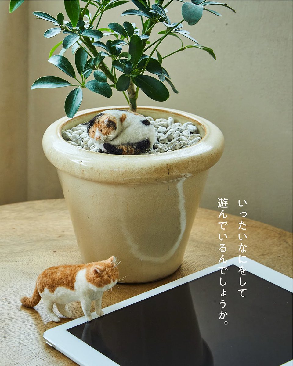 さらに紙面で掲載の写真を公開！ 家中のいろんなところに潜ったり触っ