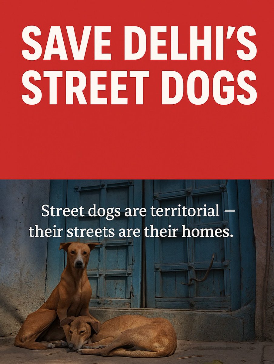 animal_front's tweet photo. YOUR SILENCE COULD KILL THEM!
π
The Delhi High Court has instructed the Delhi Government to develop a plan to relocate street dogs. This is not an act of compassion; it is the first step toward mass confinement, abuse, and potential death for our peaceful community dogs. https://t.co/XKX9C2VCxL