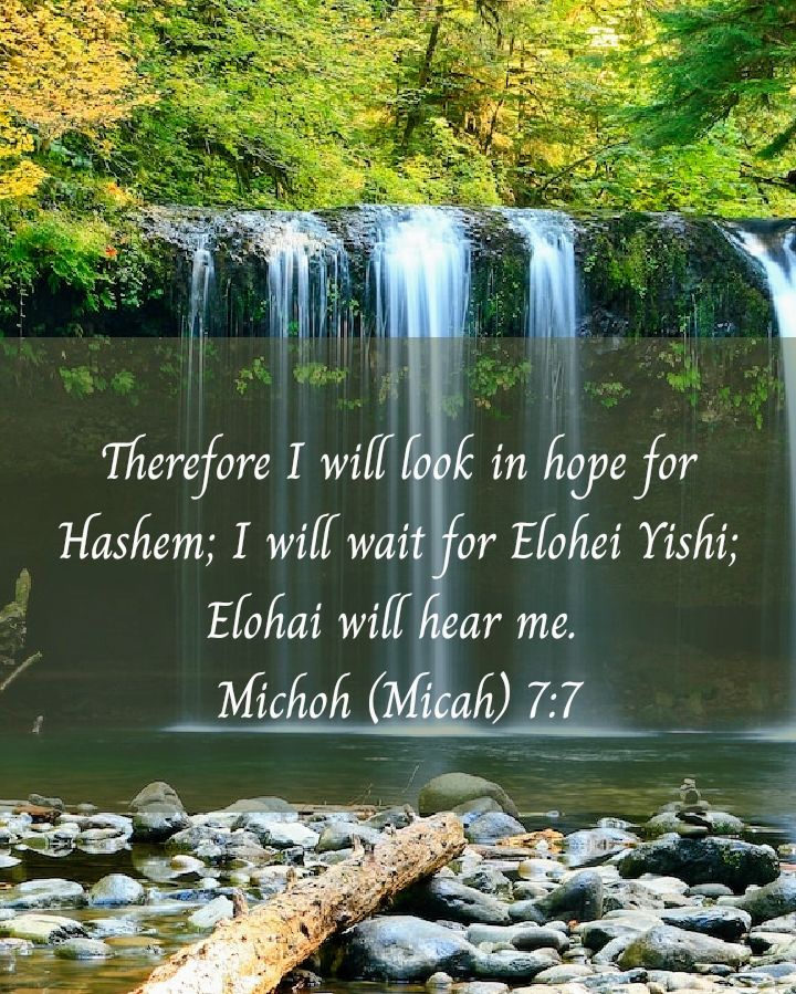 Micah 7:7 NKJV
Therefore I will look to the Lord; I will wait for the God of my salvation; My God will hear me.