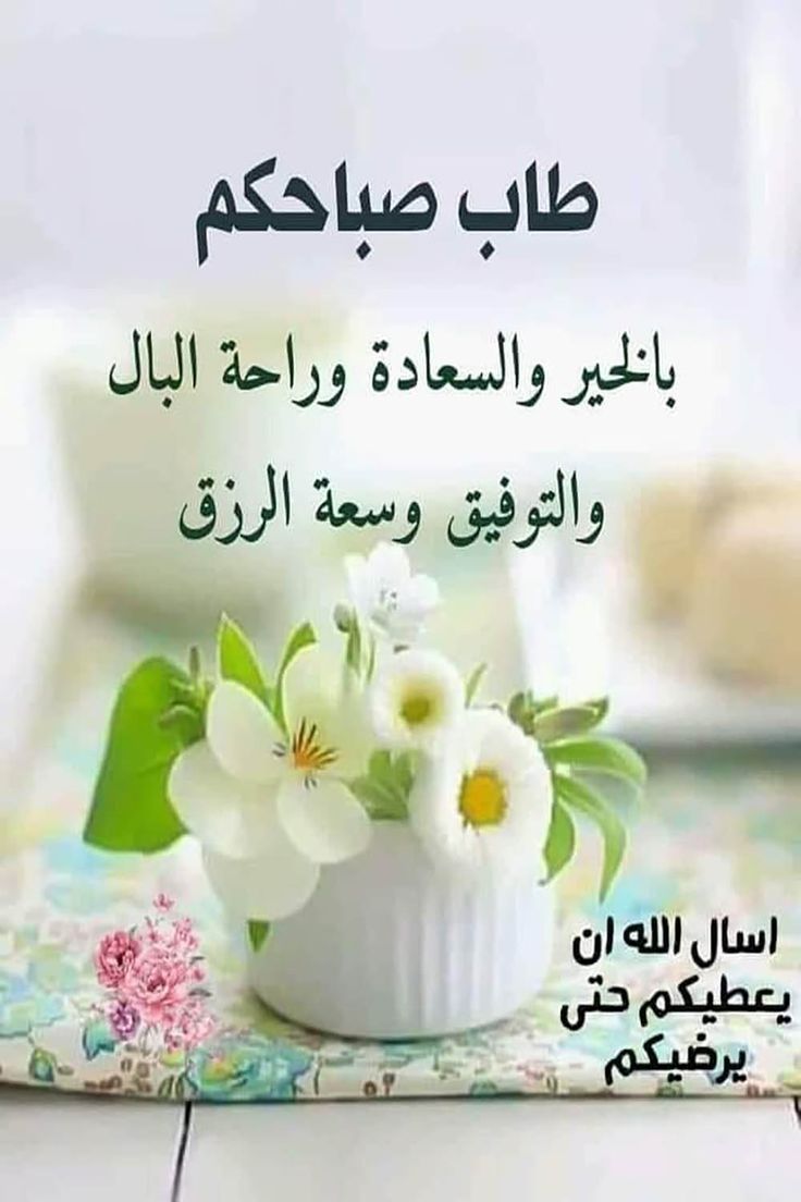123068tet's tweet photo. @maha8321553 https://t.co/mQDoHZlxa2