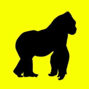 mi reseña de DAISY ya está fuera⭐️💛

uno de los discos que más me ha emocionado en tiempo, merece la pena. 

s/o: <a href="/_rusowsky/">rusowsky</a> 

loudcave.es/rusowsky-daisy/