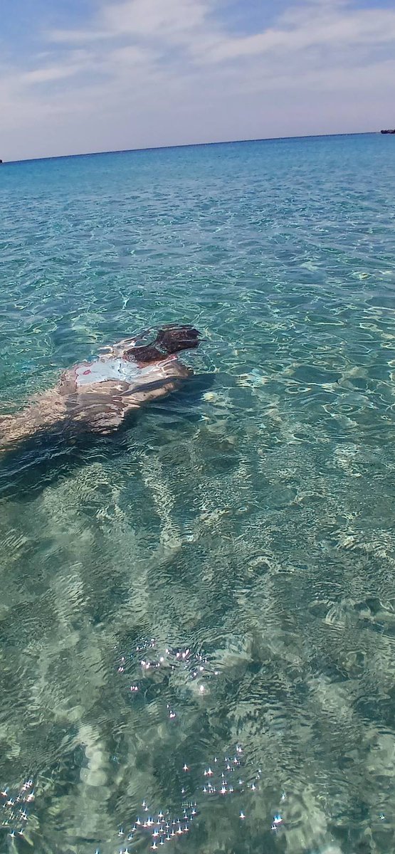 Μόνιμος κάτοικος 💦