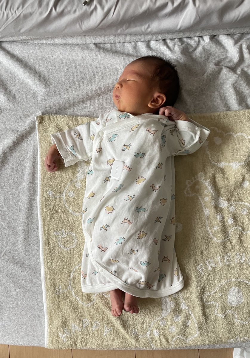 Yohei Cho tweet media