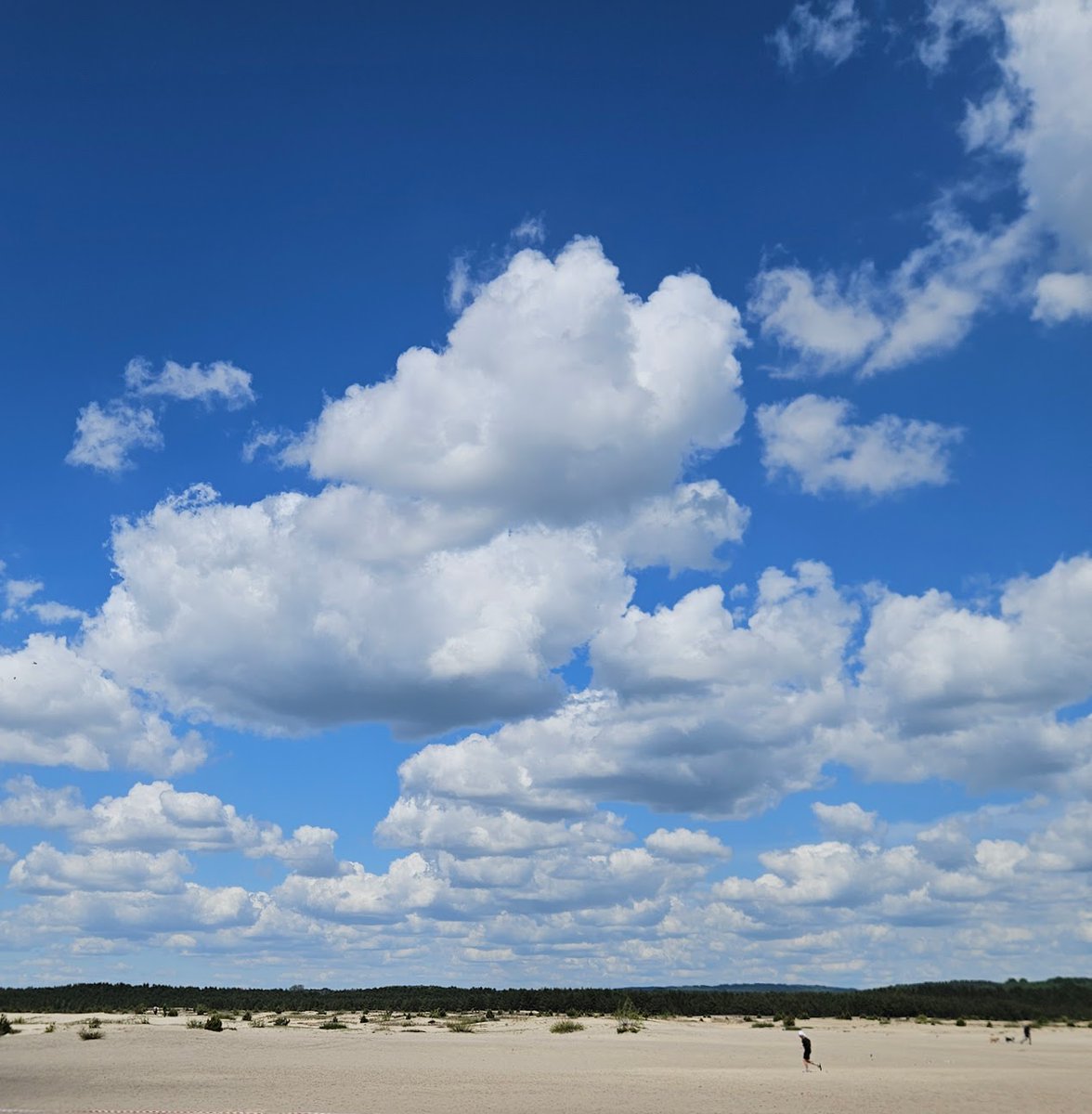 Aleksander Data tweet media