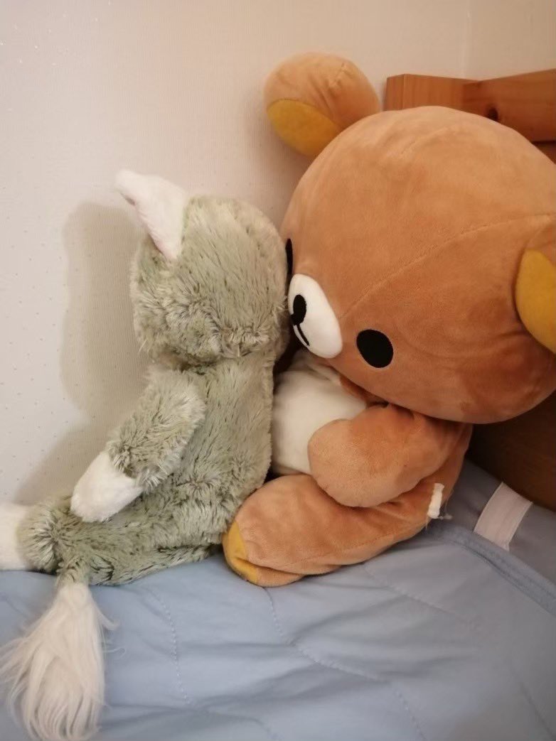 落ち込むぬいぐるみ (@depressed_nui) on Twitter photo 