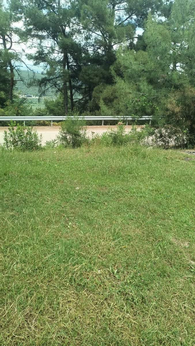 Bugün günlerden semaver çayı mangal piknik keyfimiz yerinde