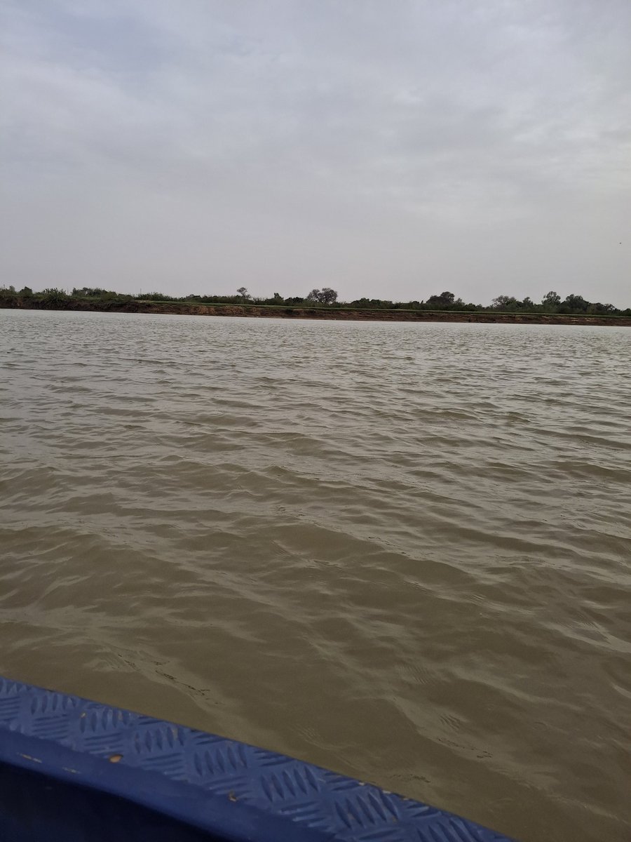 Niamey, #Niger 🇳🇪

#TOEDiro