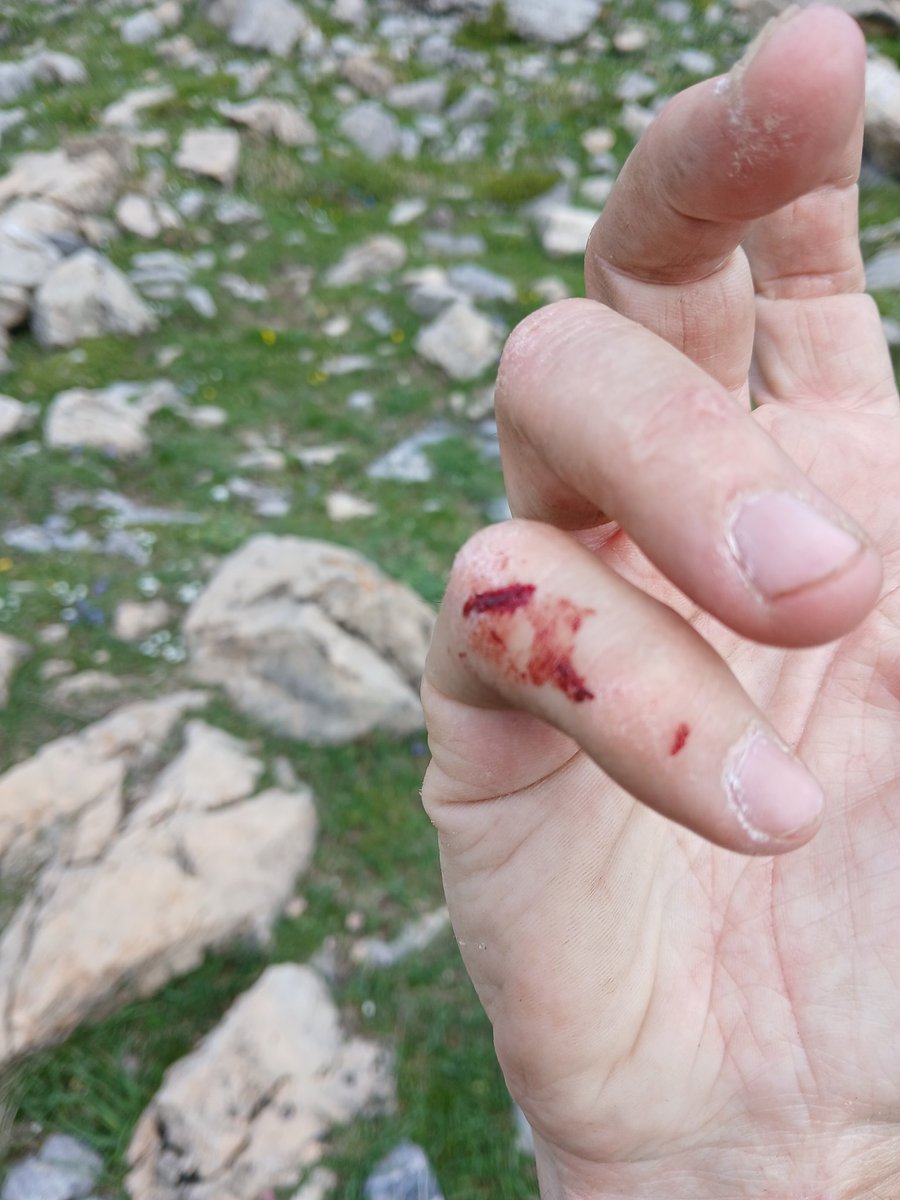 Eskalatzen. Climbing