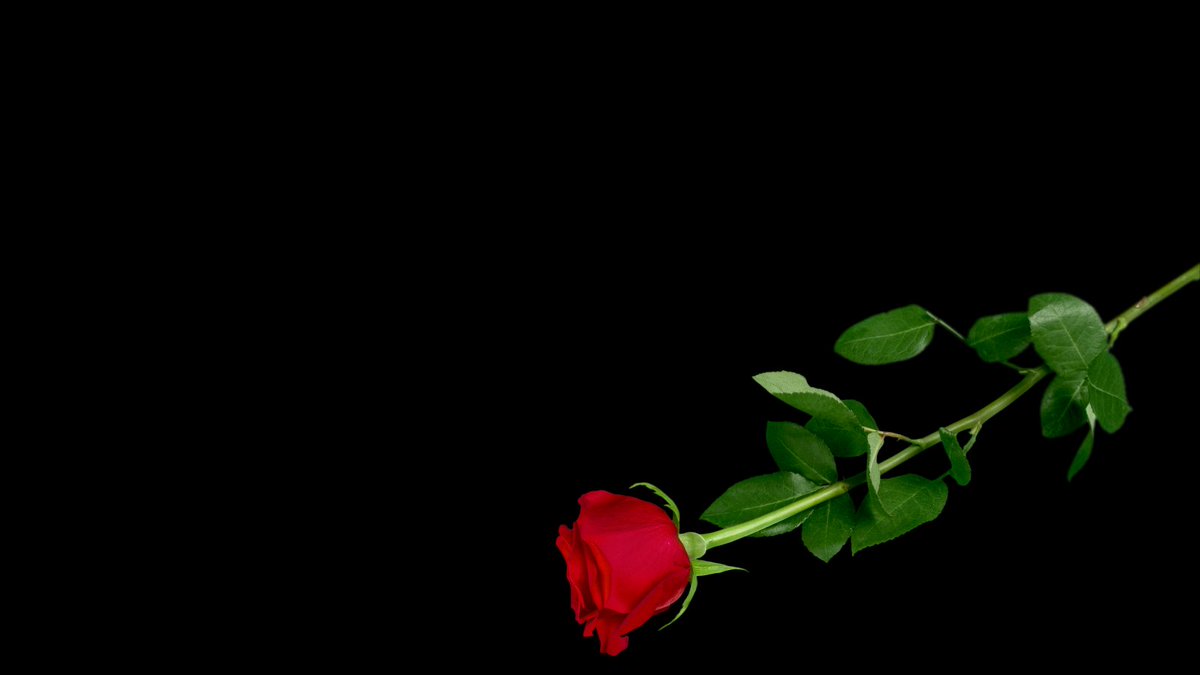 Today we remember and commemorate the victims in #Prijedor from 1992-95. Let us never forget the lives lost, the families torn apart, and the horrors of the war with an unyielding remembrance and commitment to never let hatred thrive again. #WhiteArmbandDay