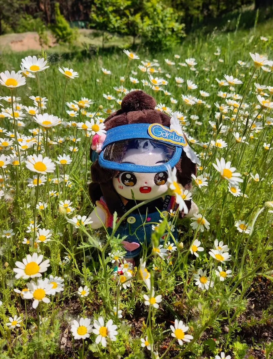 Lianlian and daisies 🌱🌿🌼