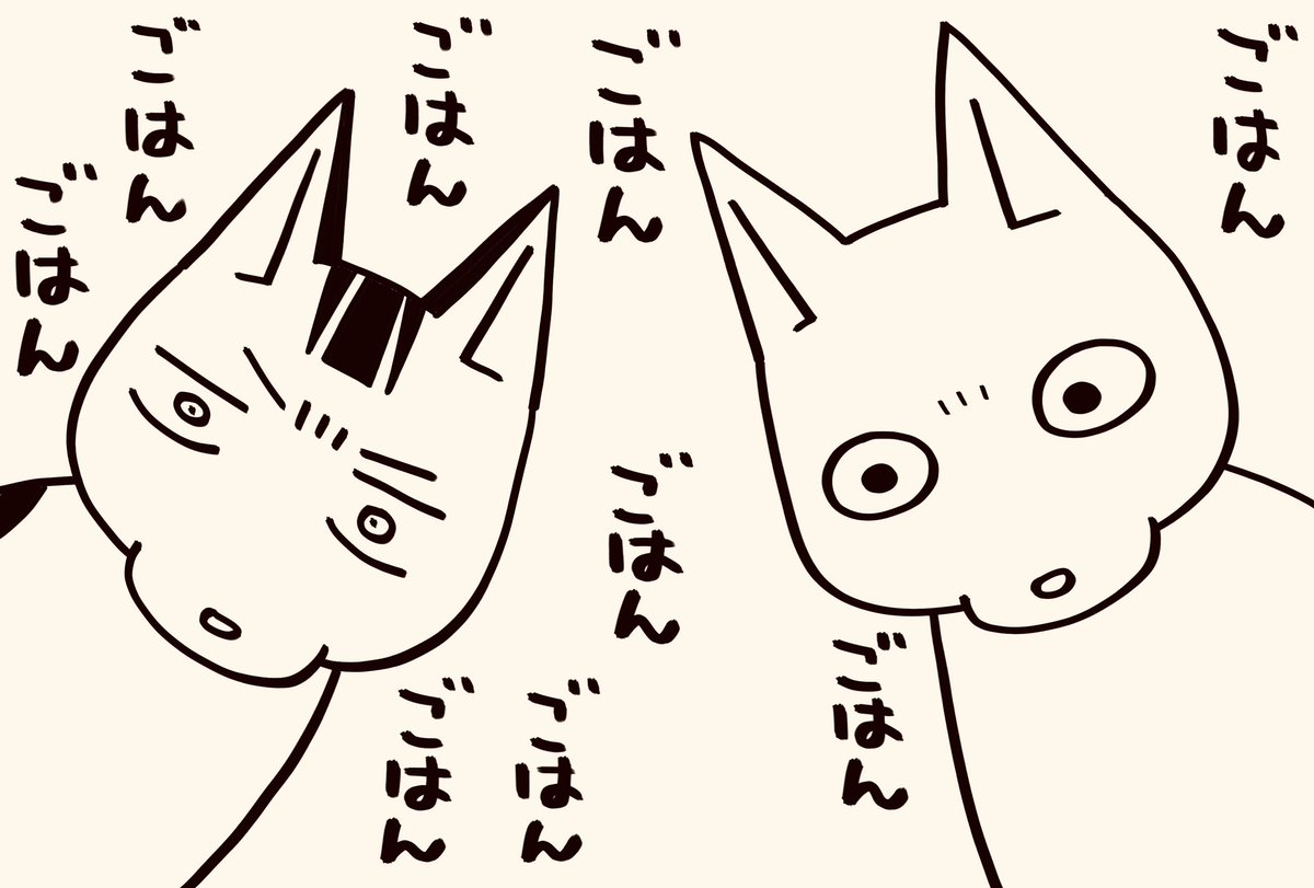 寝坊しました
ごめんなさい

#猫が4匹いる暮らし 