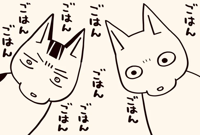 寝坊しました
ごめんなさい

#猫が4匹いる暮らし 