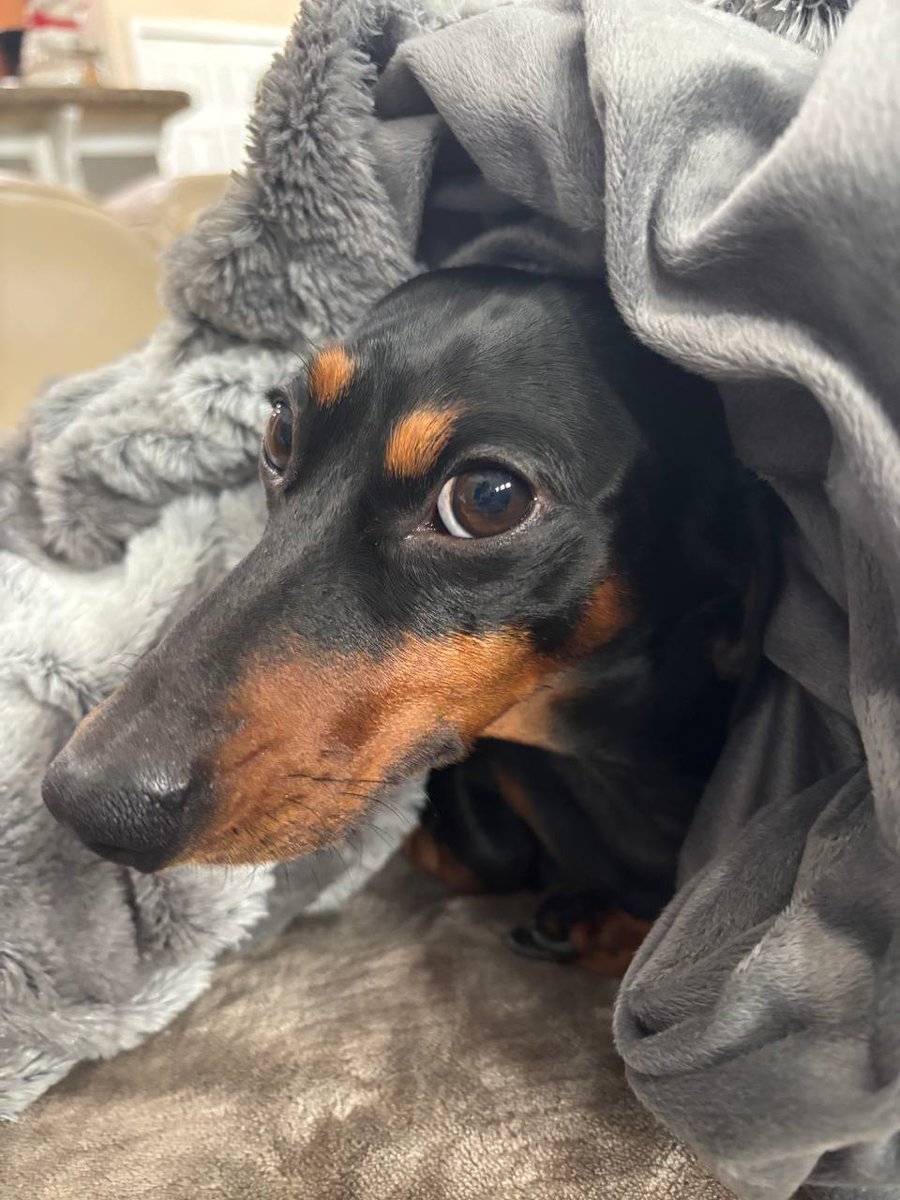 Gm. I have nothing to report except:

 I am awake.

 I am hungry.

 I will play synth when I am fully awake and not so hungry🎹