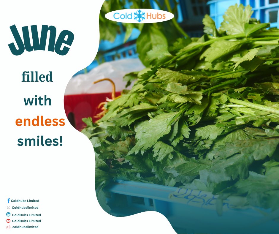 Coldhubslimited's tweet image. Endless smiles to you this June!

#coldhubs #june #june2025 #newmonth