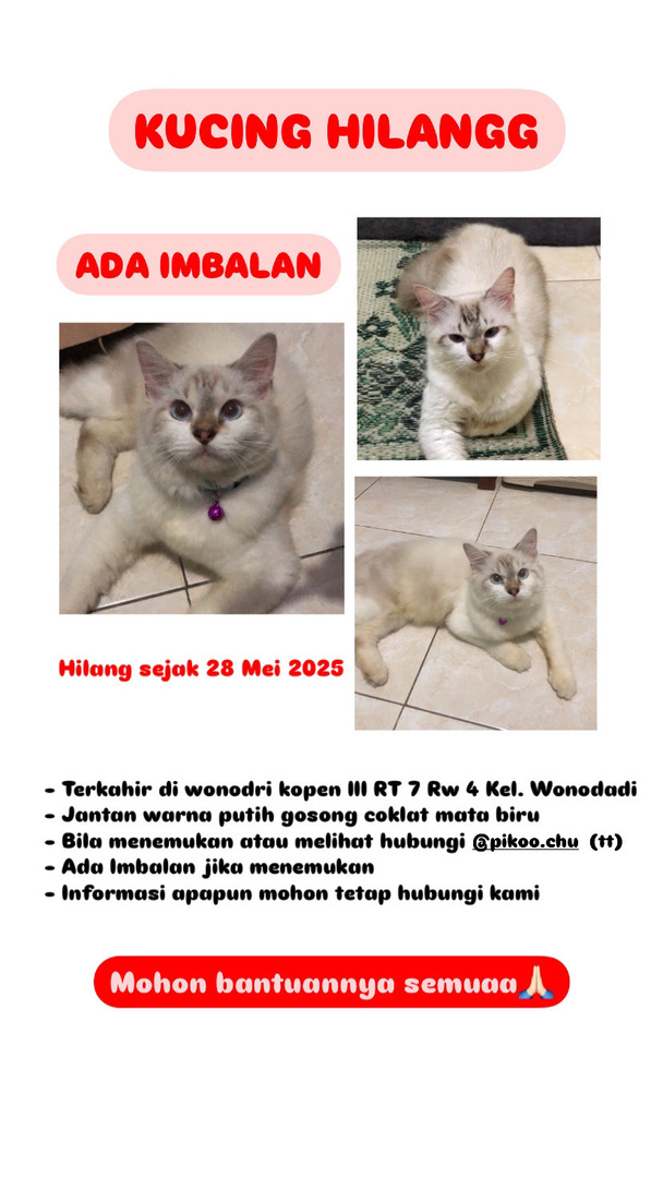 Ndess siapapun yg lihat bisa langsung hubungi tt yg tertera atau dm ke akun ku yaa (aku bakal komen) mohon bantuannya ndess terimakasih🙏🏻😞