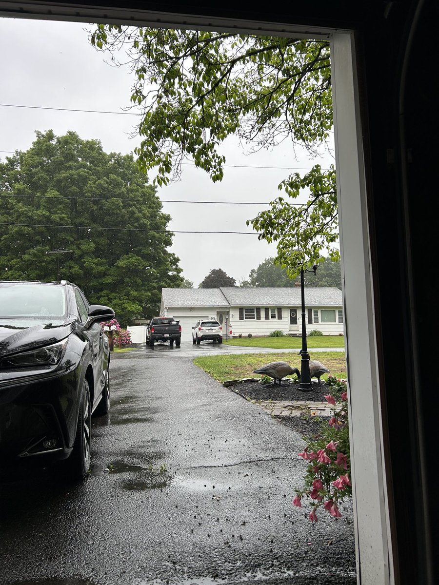 Good news…. I don’t have water all the flowers today 😁