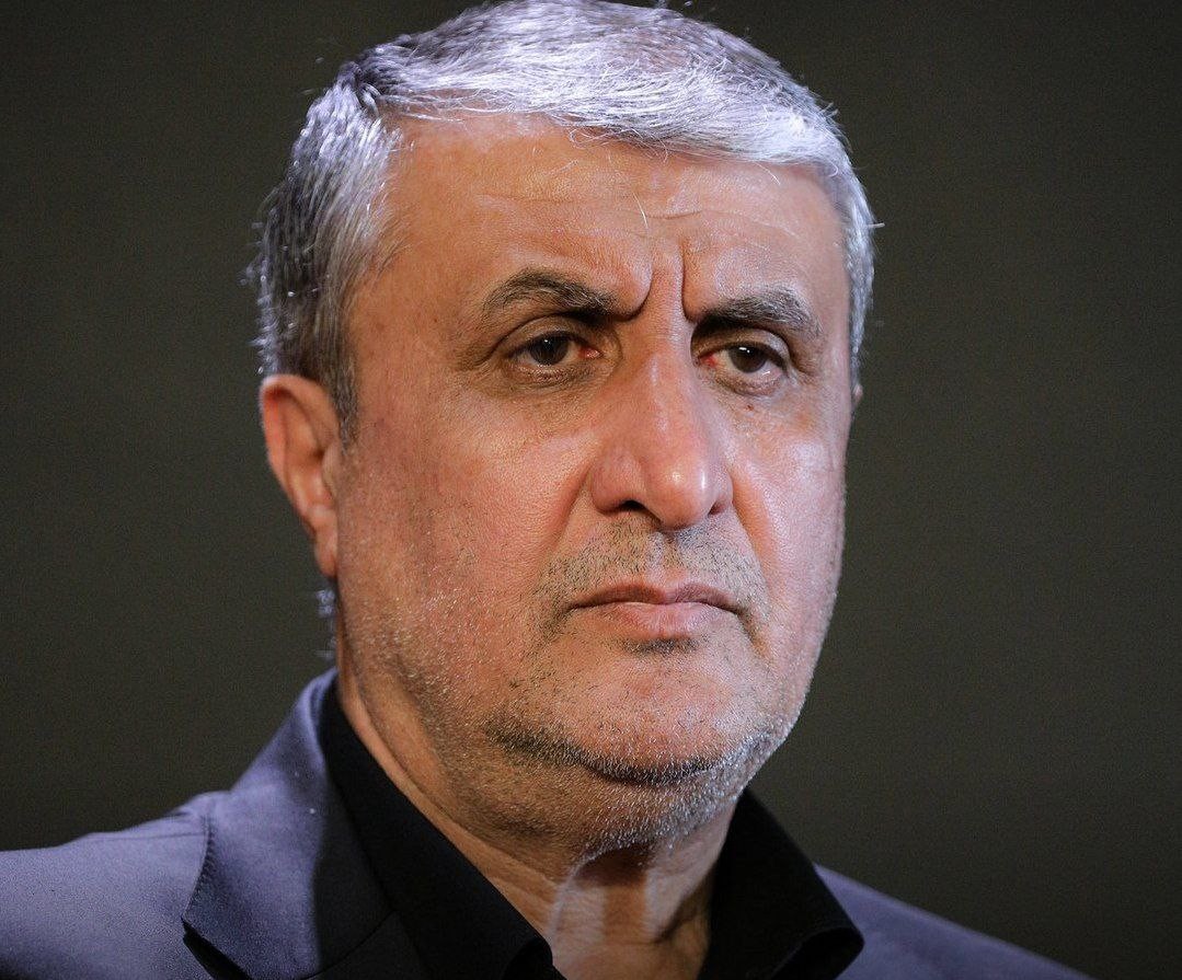 Presidente de la Organización de Energía Atómica de Irán, Mahmoud Eslami:

"La exigencia estadounidense sobre enriquecimiento cero de uranio es una ilusión de la entidad sionista."