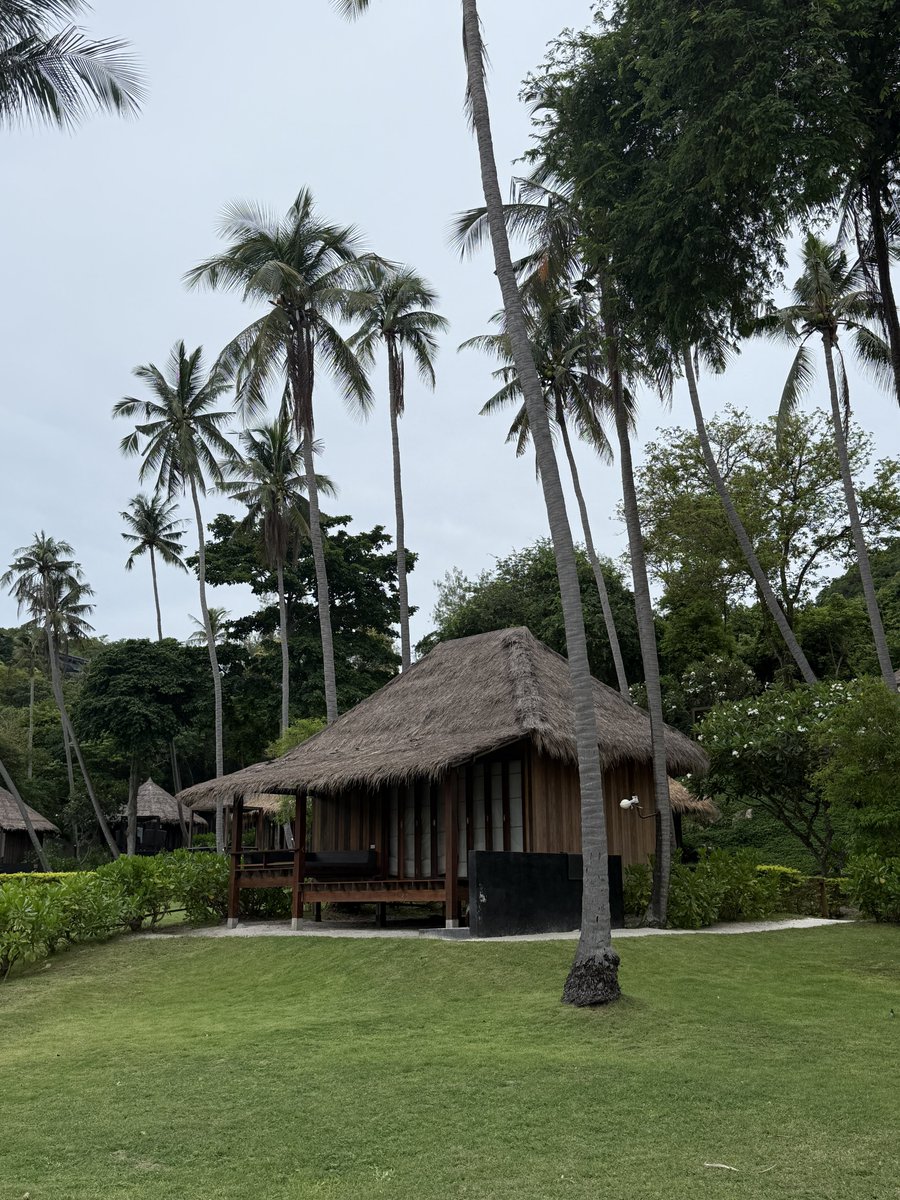 haad tien beach resort 🌴🛖🐚 : มาเกาะเต่าจะพลาดไม่นอนหาดเทียนได้ยังไงเนอะ เป็นหาดที่สงบ ไวป์ดี นทท.ที่ต้องการปลีกวิเวกจะมารวมตัวกันอยู่ที่นี่ โรงแรมนี้จะมีอยู่ 2 โซนคือบนตึกและบังกะโล ส่วนตัวชอบนะ ห้องพักสะอาด สวย แต่โซนทานอาหารแอบมีแมลงเยอะไปหน่อย โดยรวมให้ 7/10