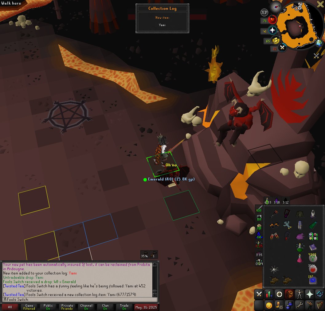 pet on ironman