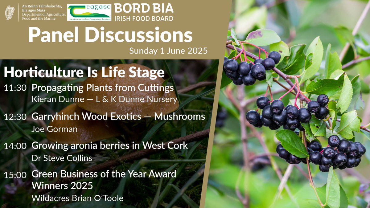 Join us this weekend at #BordBiaBloom2025. There's some great panel discussions tomorrow at the 'Horticulture is Life' stage so don't forget to swing by.