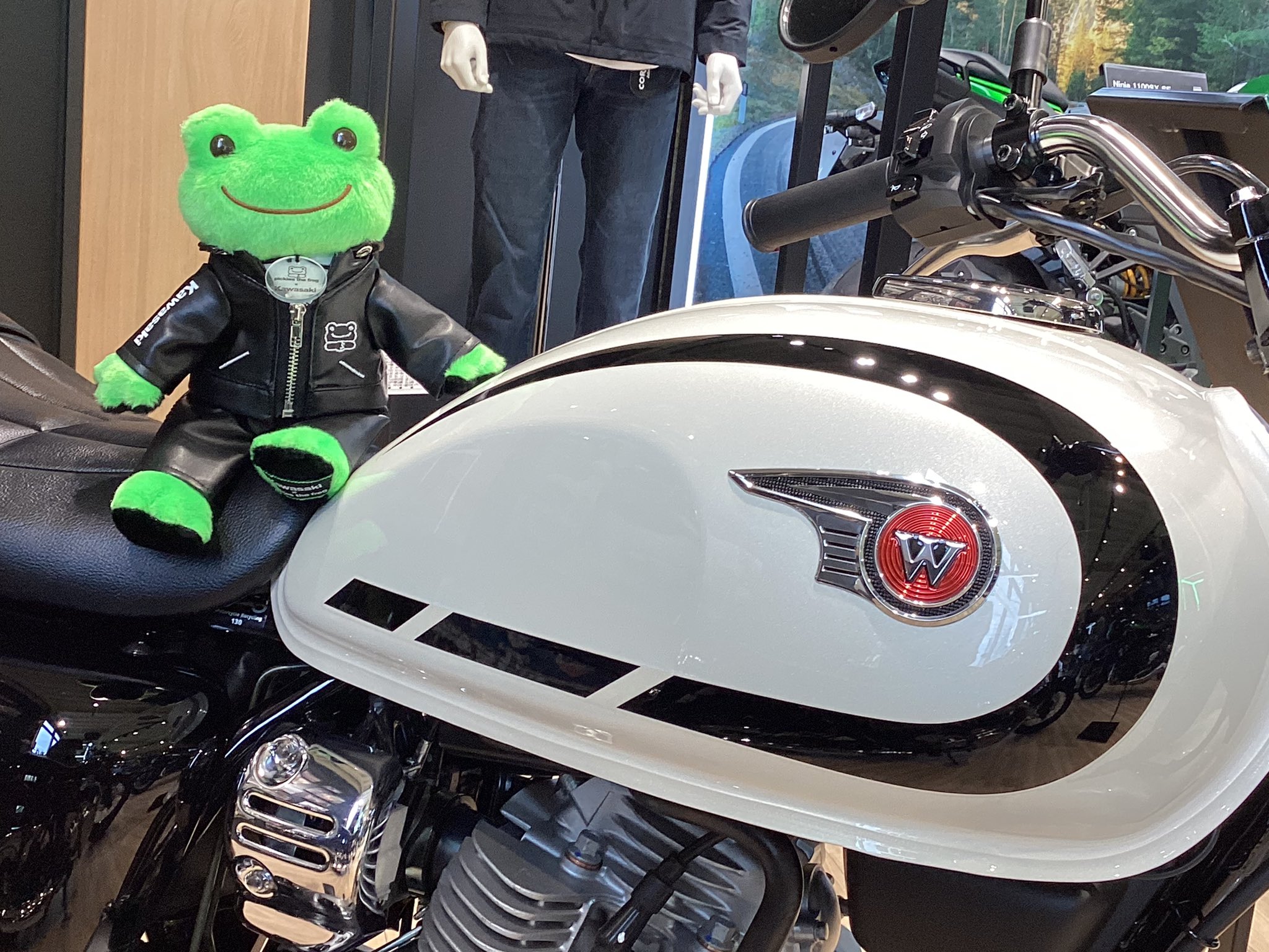 r*n様 Kawasaki × pickles the frog Tシャツ M Kawasaki Launched an Adorable Frog Collection, and I Want