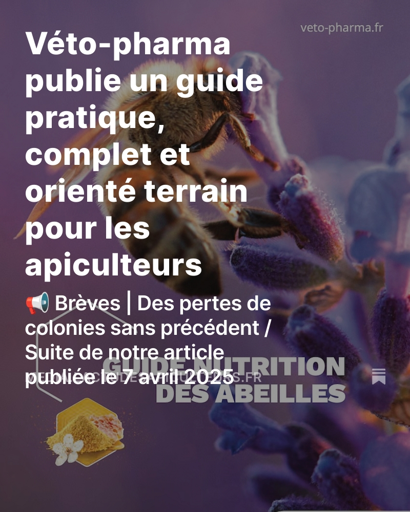 Ro1968R's tweet image. Publié en 2025 (le 27 mai dernier) par Véto-pharma, le Guide nutrition des abeilles propose une synthèse rigoureuse et appliquée des connaissances actuelles sur la nutrition apicole. media.lactudesapiculteurs.fr/p/veto-pharma-…