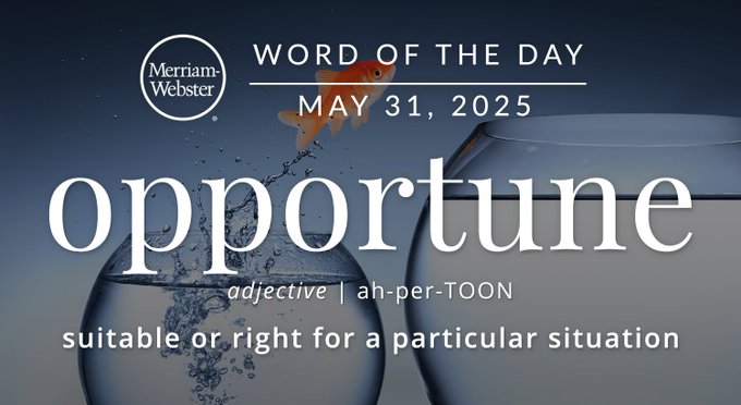 Merriam-Webster Word of the Day May 31, 2025 'opportune' adjective | ah-per-TOON "suitable or right for a particular situation" Background Image: a goldfish jumping from a smaller fish bowl to a bigger one