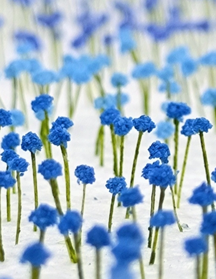 木草BUNKO tweet media