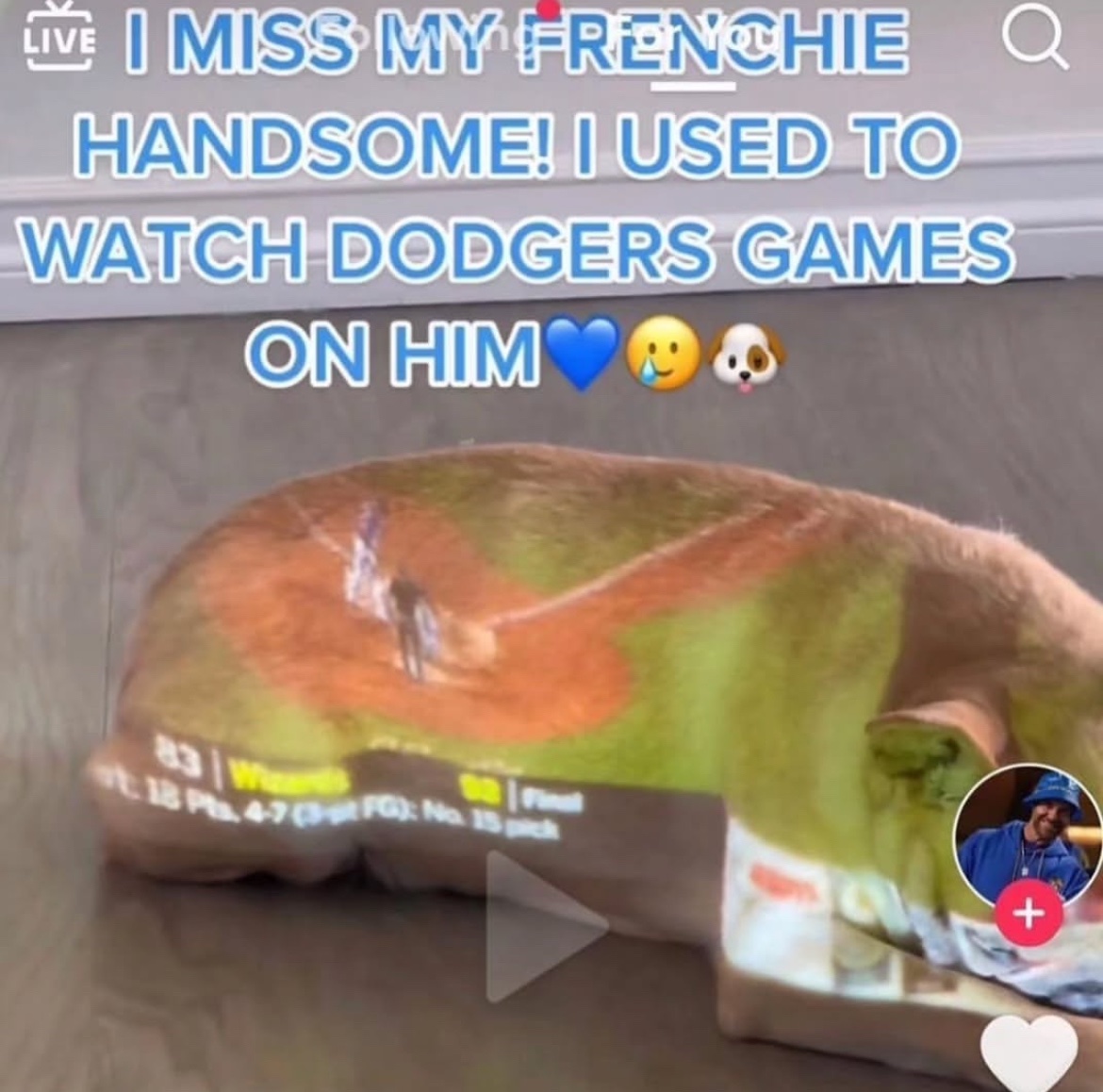 Images AI Could Never Recreate (@imagesaicouldnt) on Twitter photo 