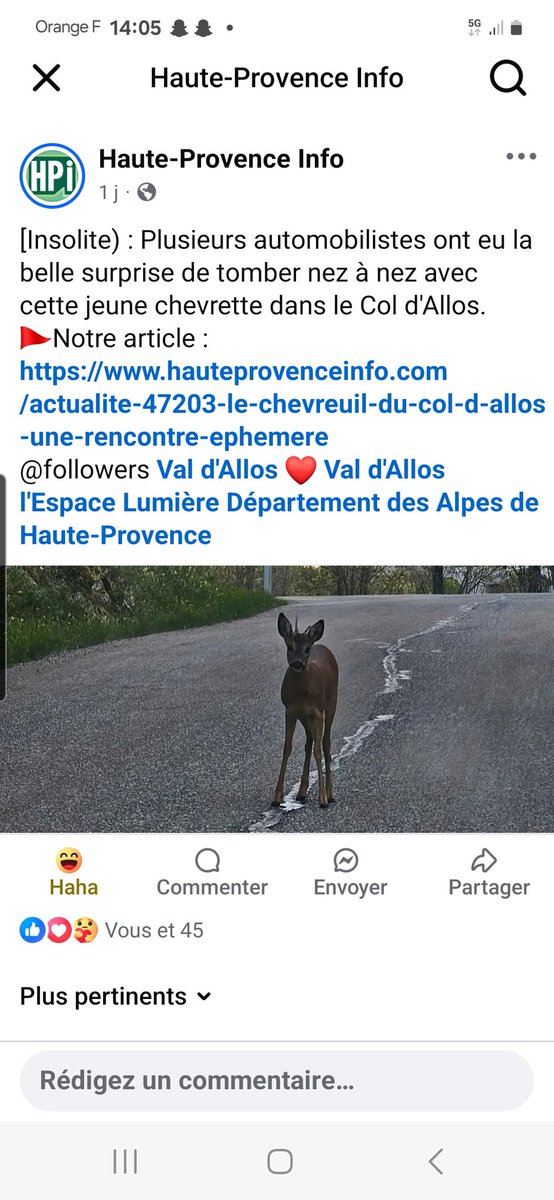 Un bichidé surprenant les automobilistes 😴😴