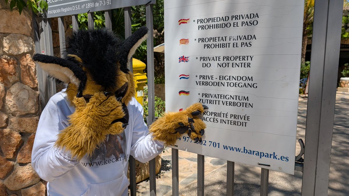 German for beginners... Find the mistake. 😋