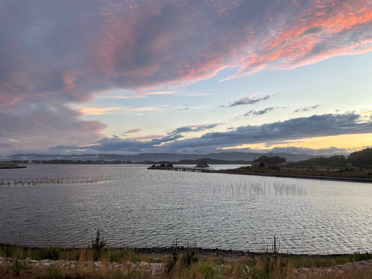 【相馬野馬追巡検】

5月25日、今年度も地理愛好会では相馬野馬追に行きました！
祭りでは、大勢の騎馬武者によって、迫力ある競馬などが行われました。
また、江戸時代から続く歴史ある祭礼で、その関連する寺社もめぐり、相馬地域の文化・歴史を深く学びました！