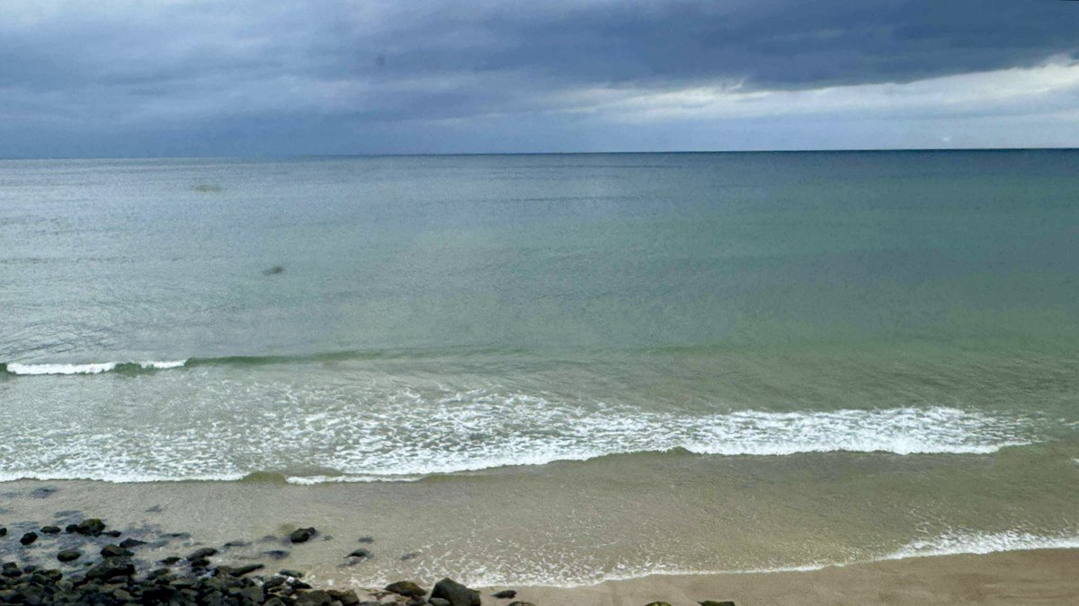 Moody skies today on the North Coast… train journey with views to Downhill beach, on the way to Londonderry. 

📸 Peter Hayes