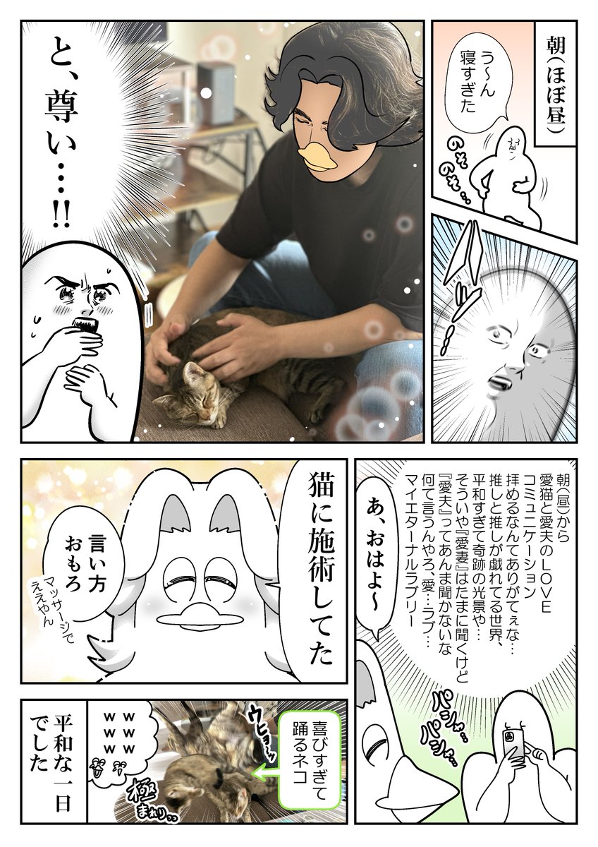 奇跡の光景 