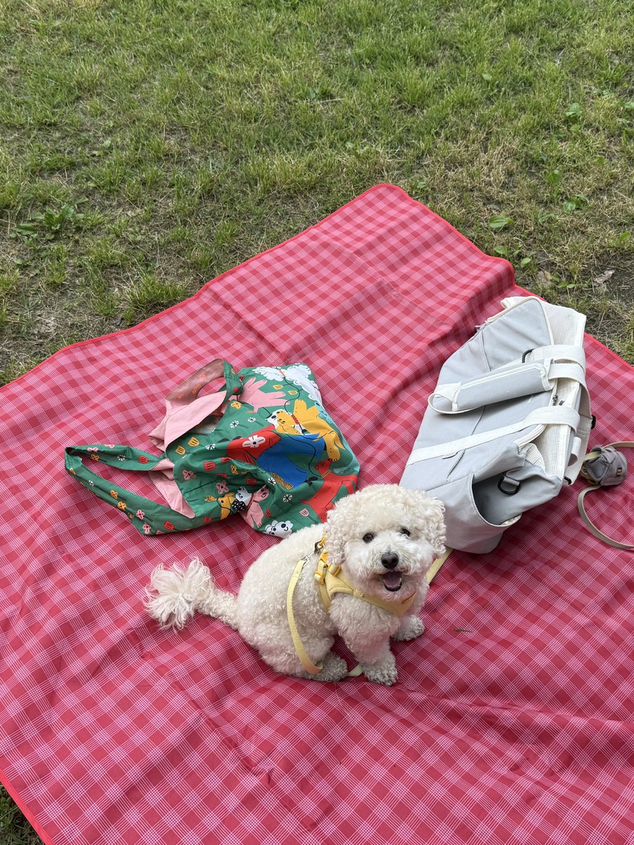 지하철도 첨타보구 피크닉도 다녀와따요