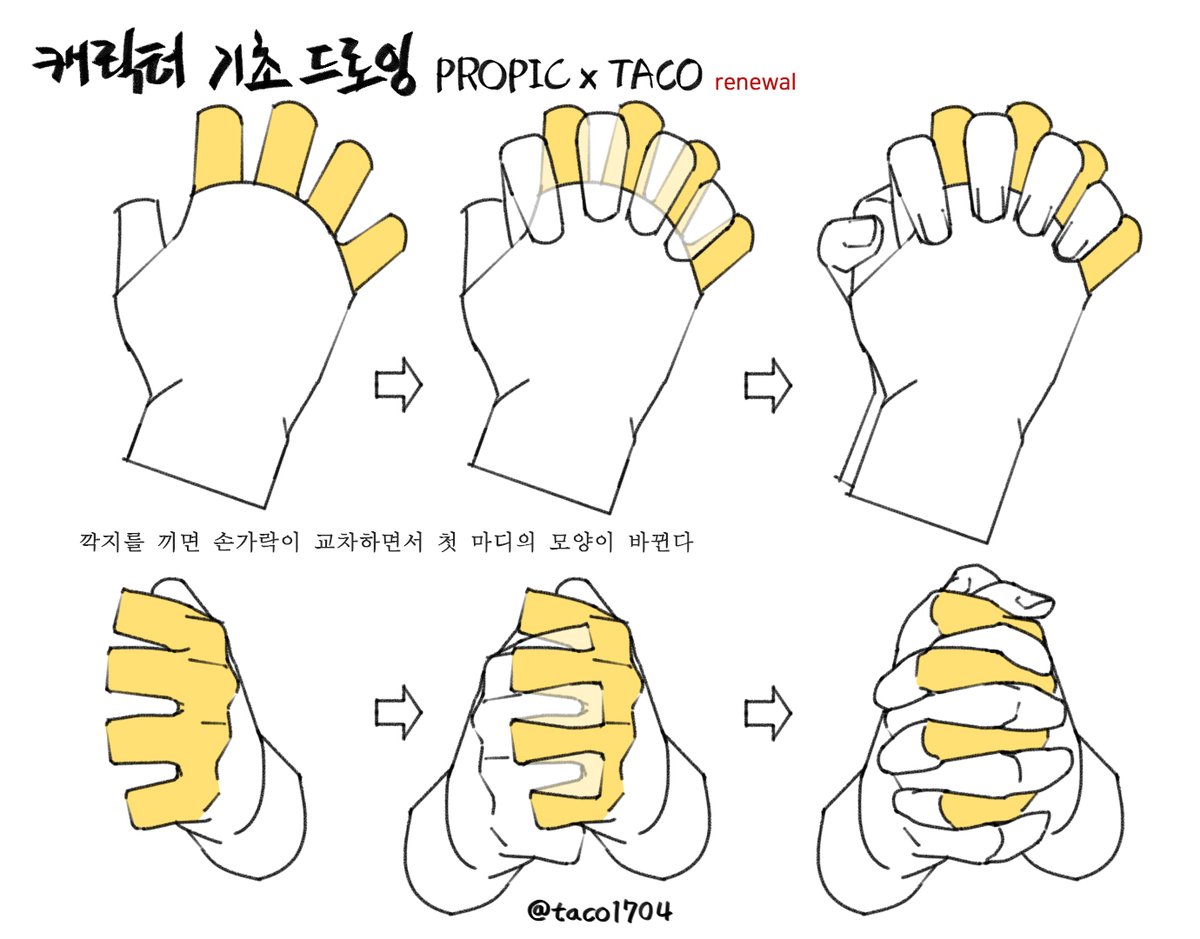 깍지를 끼면 손가락이 교차하면서 첫 마디의 모양이 바뀐다 
指を組むと指が交差して最初の節の形が変わる