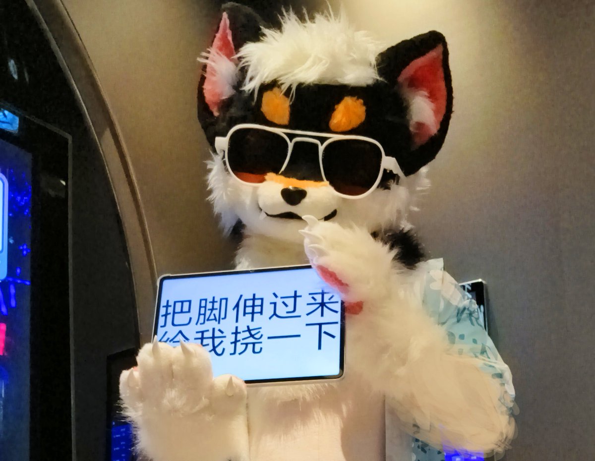 Put your paws up, and let me tickle them😈😈😈