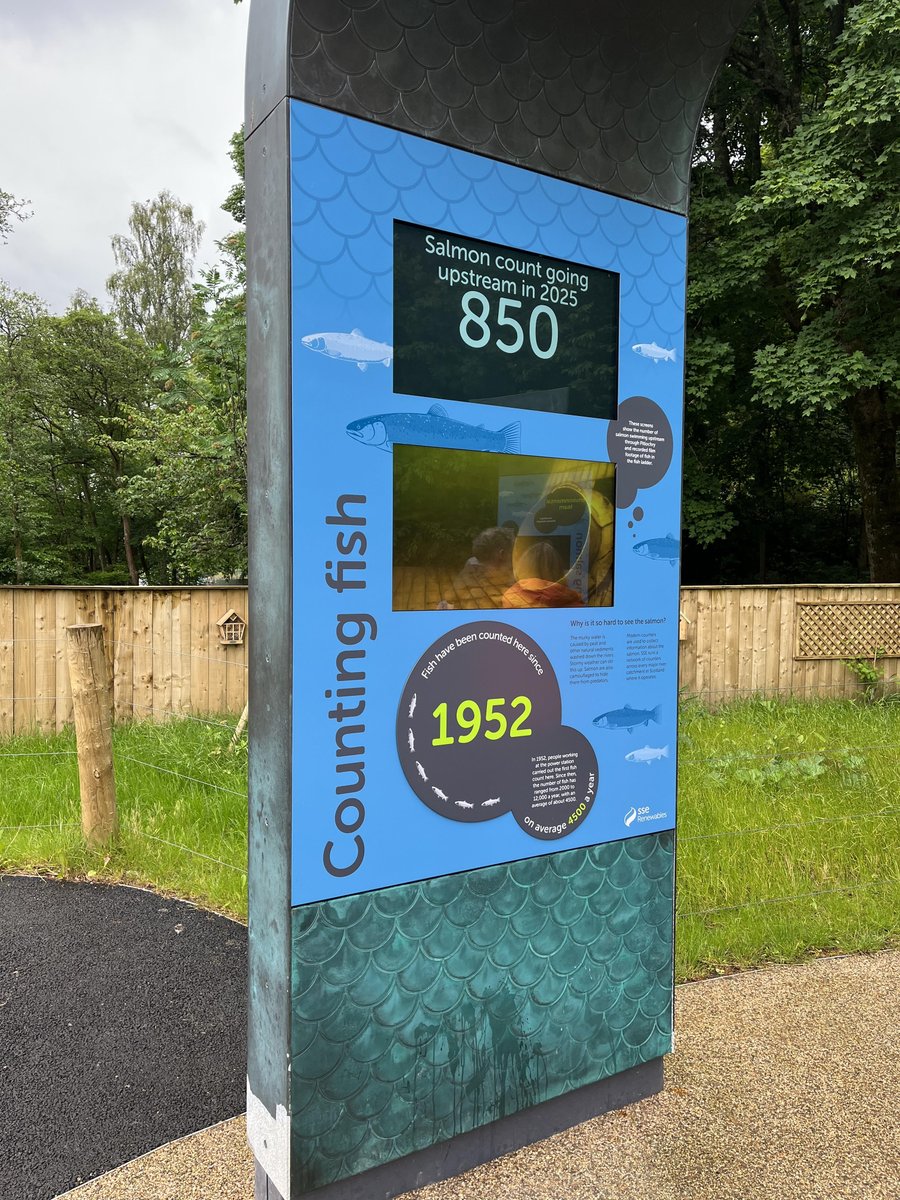 Ladder count 850
Water temp 61F ( 16C)
Saturday 21/5/25    12:40 BST