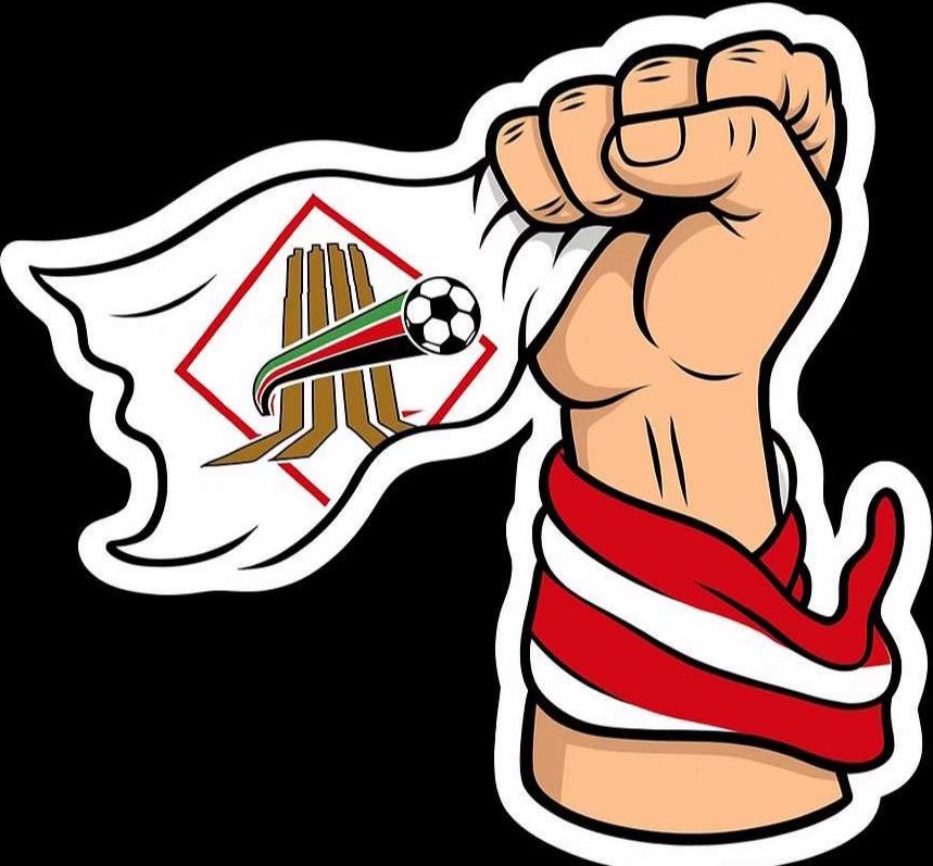 #إعادة_تشكيل_الشركة