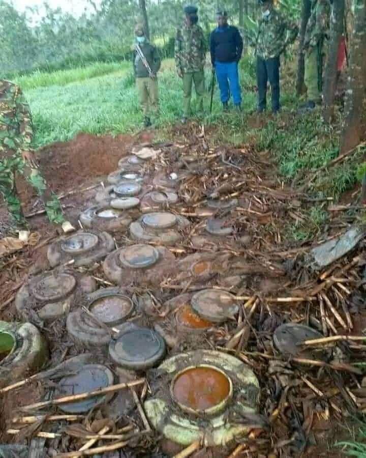 How well able drunken master feel in upcountry , they are craving for poisonous mehn eeeeeeh 😂😂