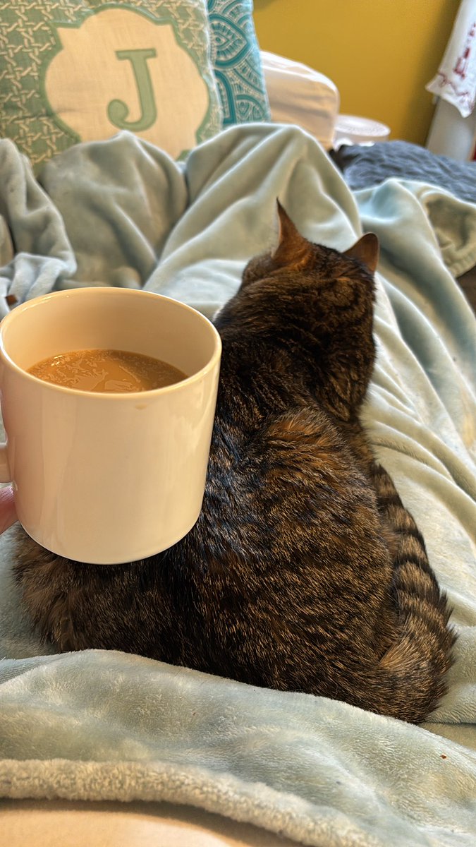 Jennifer VanHee, AT (@rhsramsatc) on Twitter photo This year kicked my butt. Happily in the homestretch as my Sr girls track runner moves on after WINNING states. Enjoying a quiet Sunday with Grace. <a href="/ATCoffeeCrew/">AT Coffee Crew</a> <a href="/KSR_ATC/">Kyle Rutledge, MS, MHA, AT, ATC</a> This year kicked my butt. Happily in the homestretch as my Sr girls track runner moves on after WINNING states. Enjoying a quiet Sunday with Grace. <a href="/ATCoffeeCrew/">AT Coffee Crew</a> <a href="/KSR_ATC/">Kyle Rutledge, MS, MHA, AT, ATC</a>